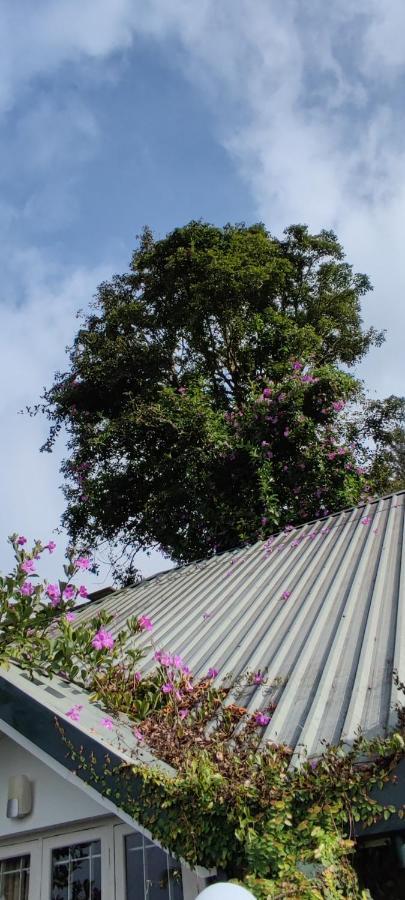 Munnar Tea Hills Resort - Mthr Bagian luar foto