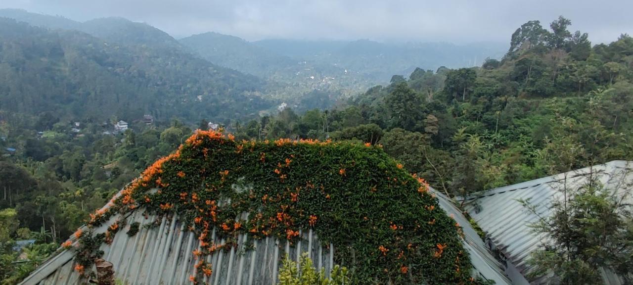 Munnar Tea Hills Resort - Mthr Bagian luar foto